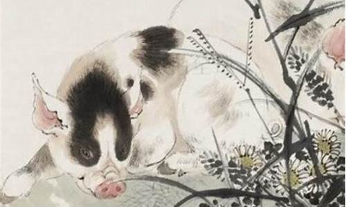 属猪的有桃花运-生肖属猪的人的桃花位